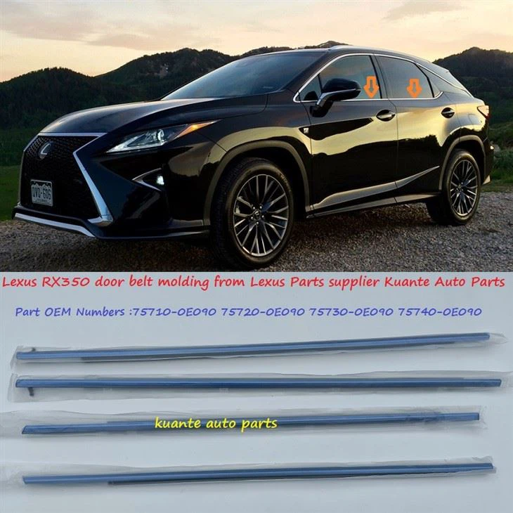 Lexus mouldings